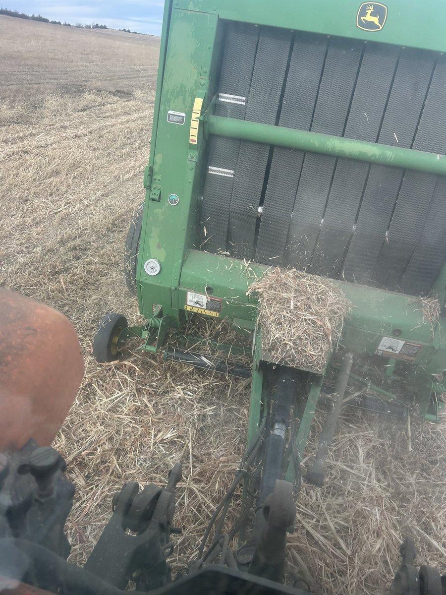 Foodplots baling in December. Why not?
