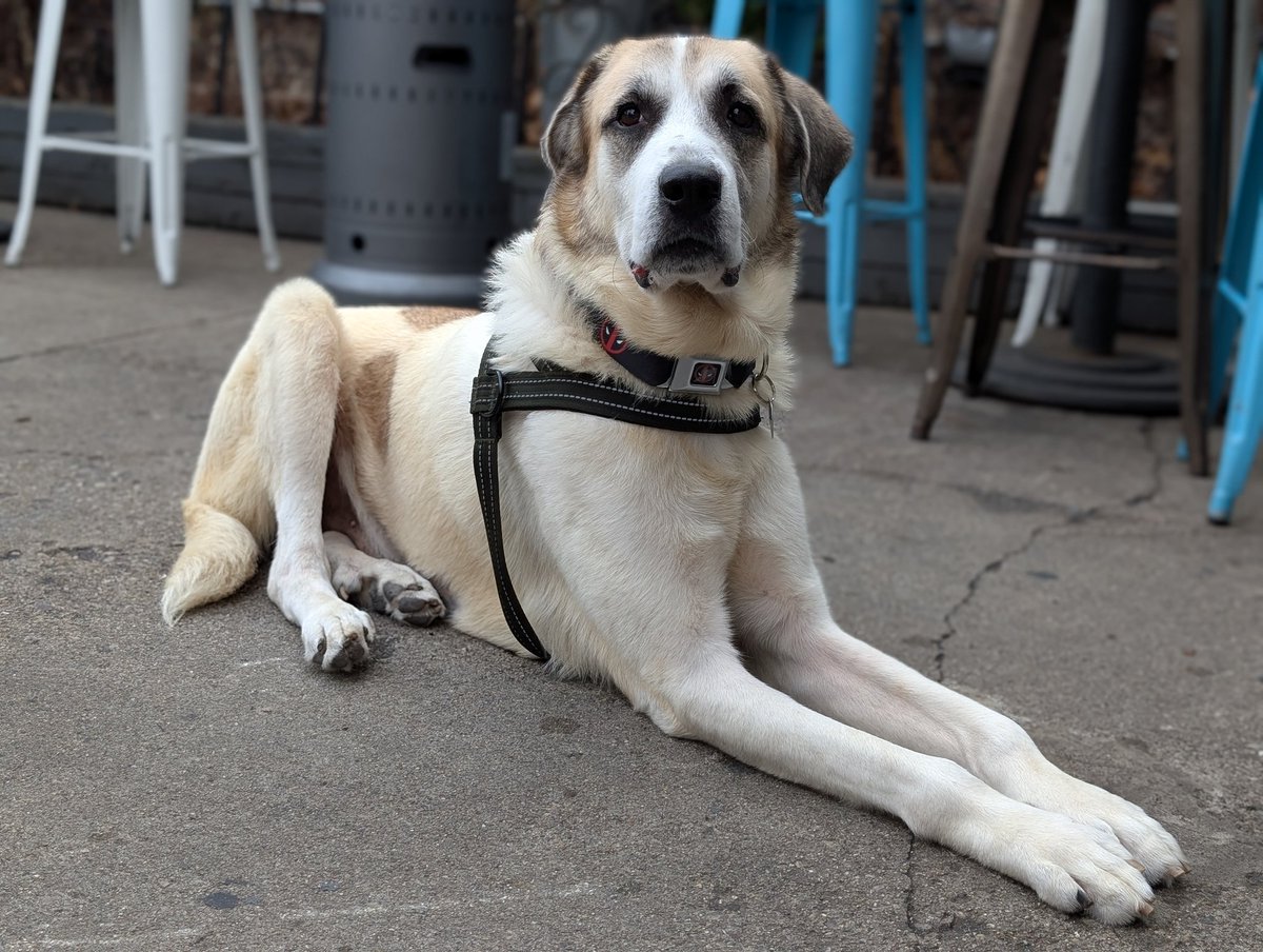 Wade is out and about, just living his best life. <a href="/SoFoTap/">The SoFo Tap</a>