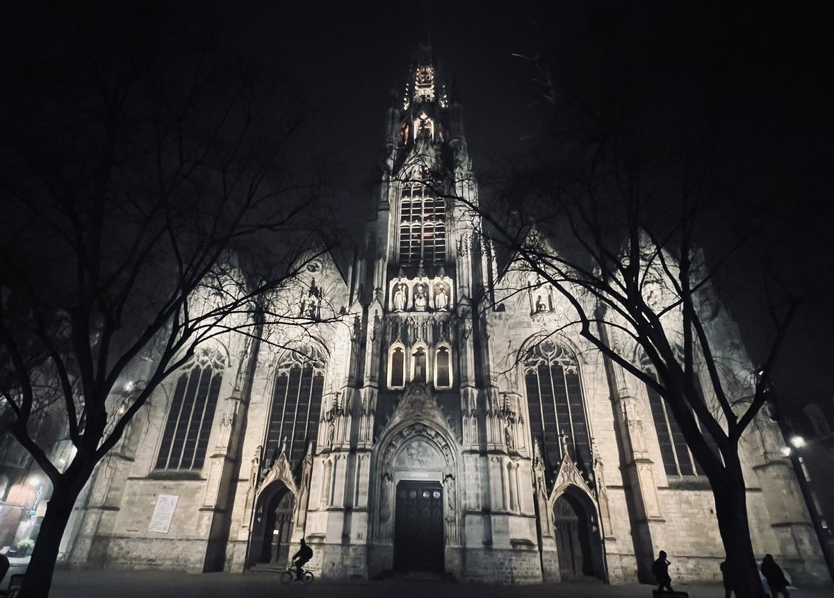 Église Saint-Maurice, Lille 🇫🇷 at night