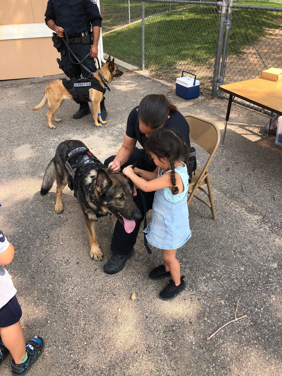DenverSheriff's tweet image. BOLO is the perfect guy for this job! He&apos;s a gentle giant and likes to educate and interact with the humans. Good boy, BOLO! #SaturdaySparkOfJoy #DSDEst1902 #WorkingDogsOfTwitter