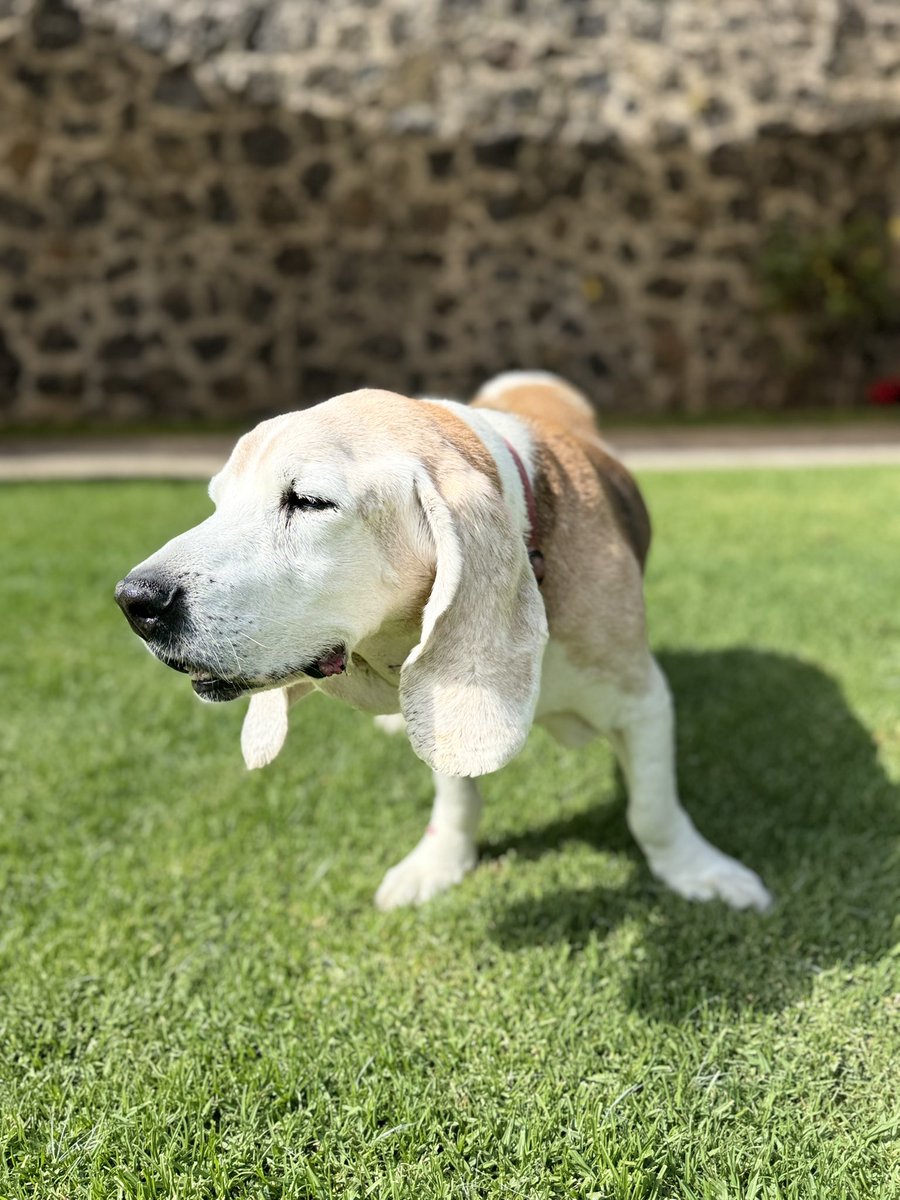 Felicidades Mirko por tus 16 años, te amamos mucho!