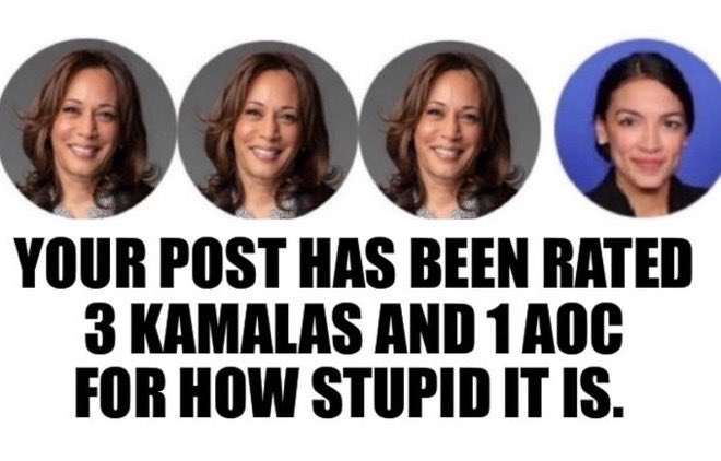 Kathy Ann🇺🇸🐈‍⬛ tweet media