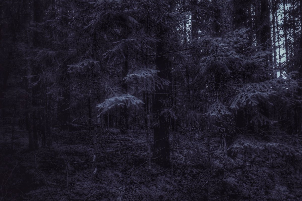 Beheroght's tweet photo. #forest #Lithuania #nature #dark #metal #darksoul #лес #природа https://t.co/Nyqq7tTp4t
