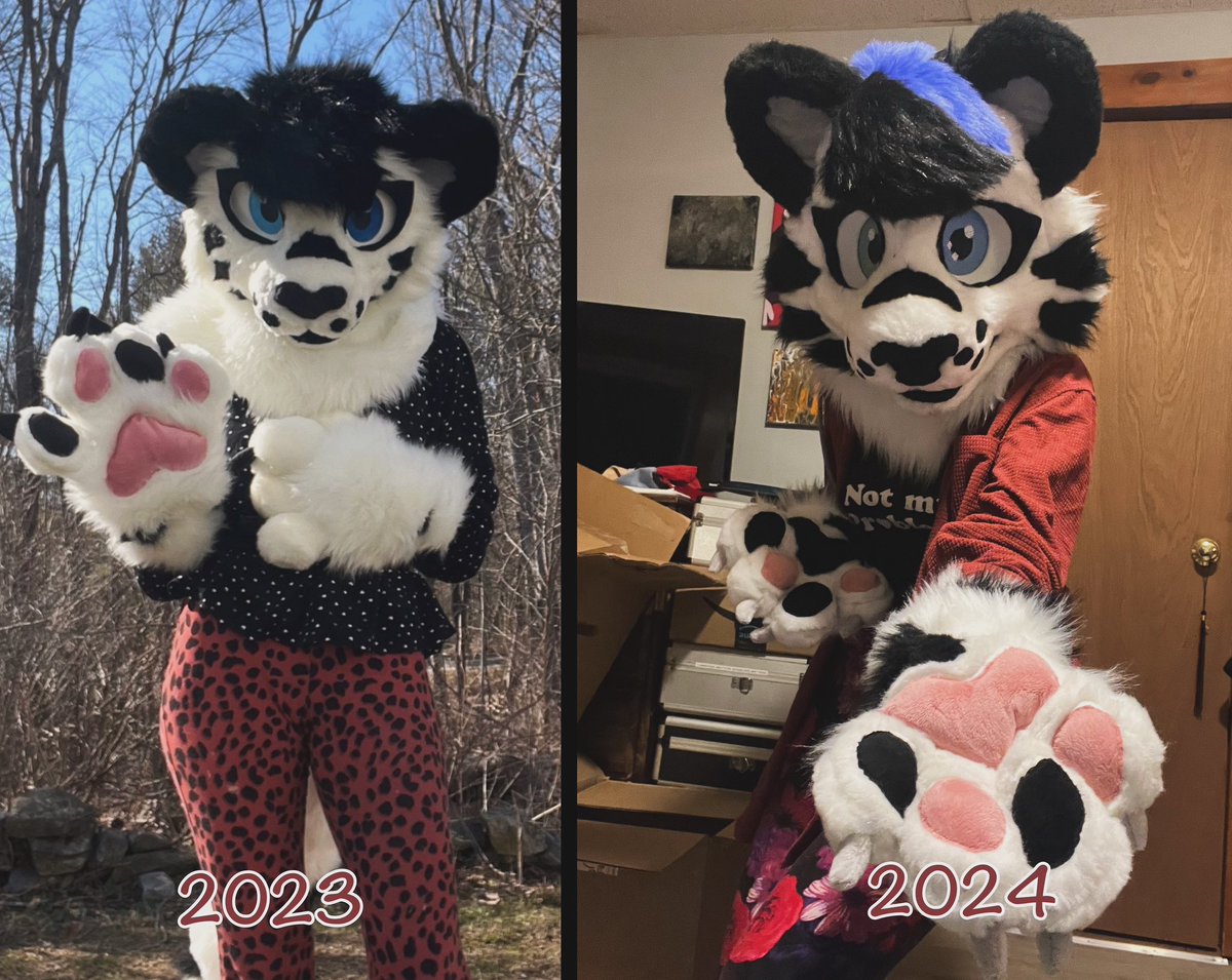 A year, can make a huge difference in skilled and improvement 

The first and second time on making @:snowy.thetiger sona. And to see my skills get better

#furry #fursuit #fursuitmaker #furrycommunity #furryfandom #art #maker #suitmaker