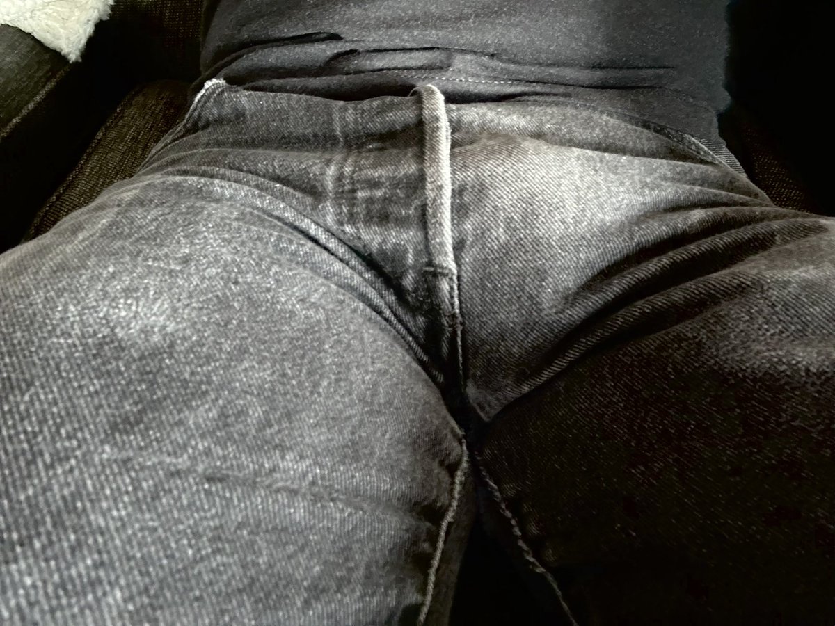 Any lap dogs out there? 😉