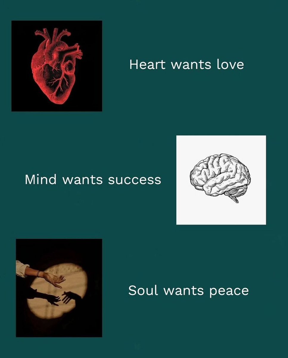 Mind Essentials (@mind_essentials) on Twitter photo 