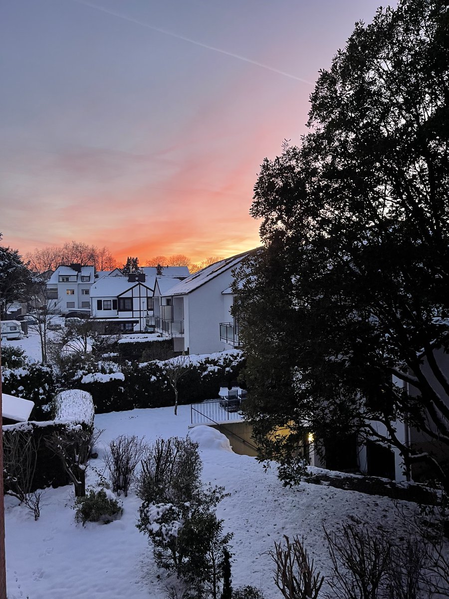 es gab auch Schnee dieses Jahr (am 20. Januar)
