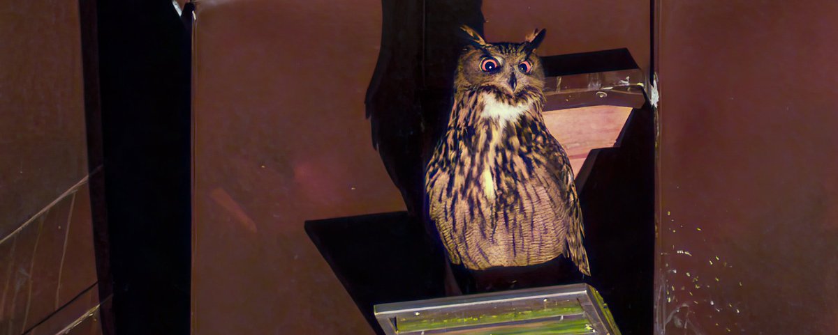 Biologische Schutzgemeinschaft tweet media