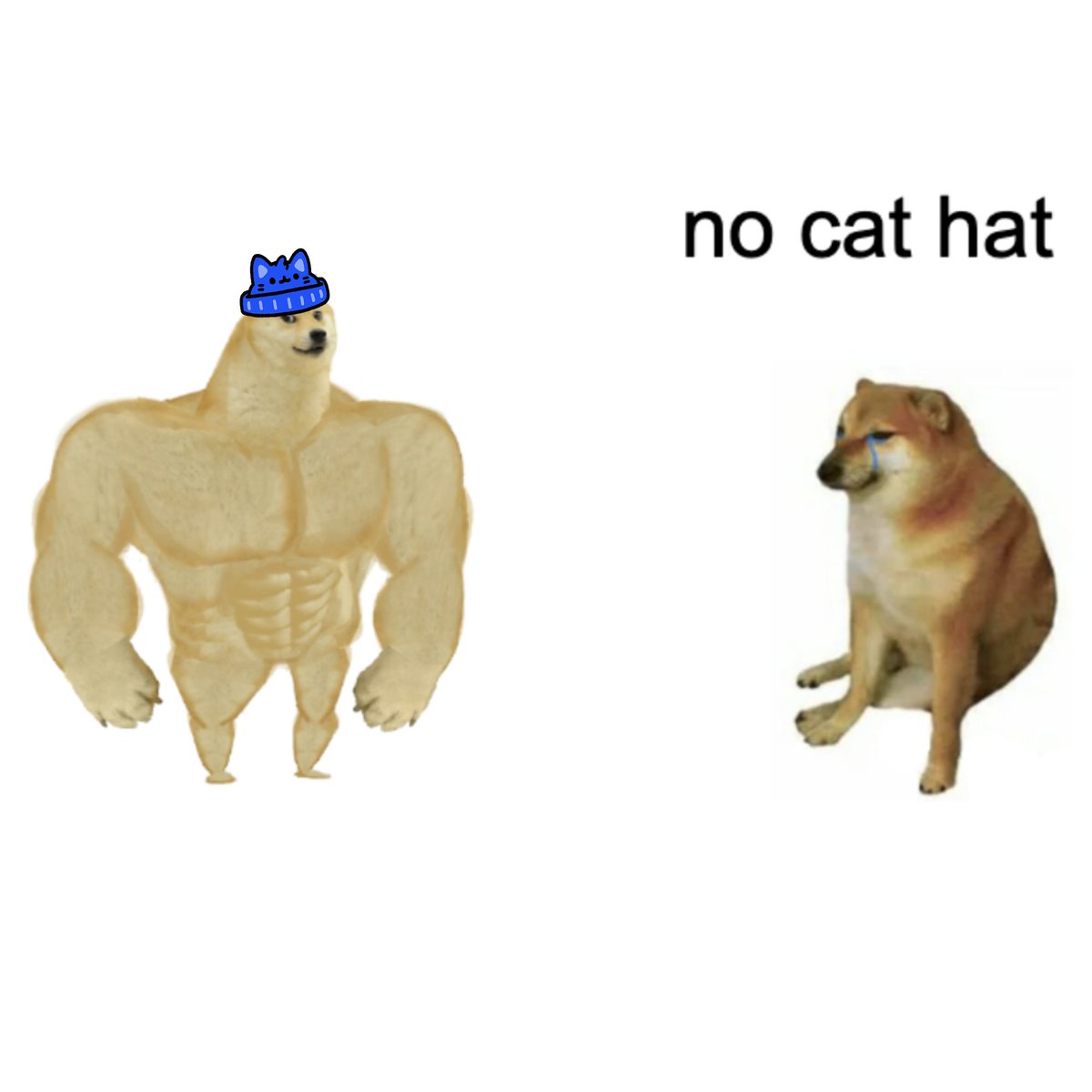 BasedCatHat's tweet photo. be a giga chad $CatHat https://t.co/sItd7cBKXS