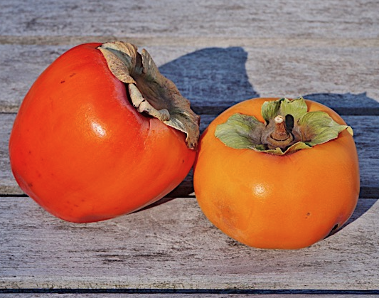 doug funnie tweet media