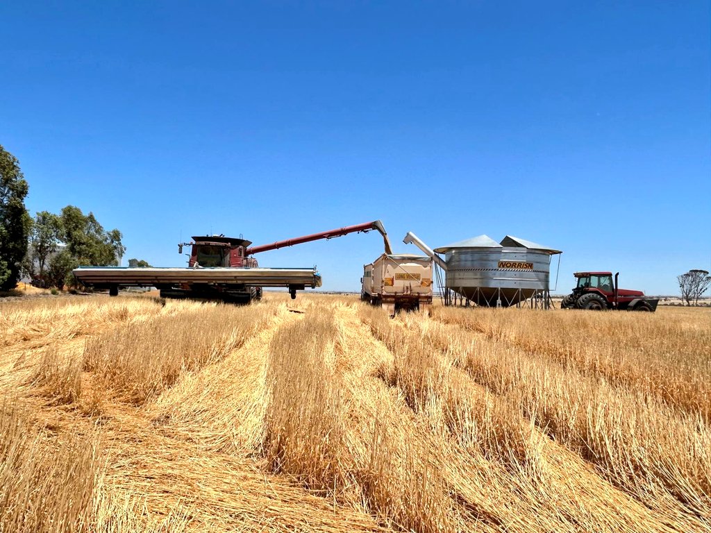 Ashley Jacobs tweet media