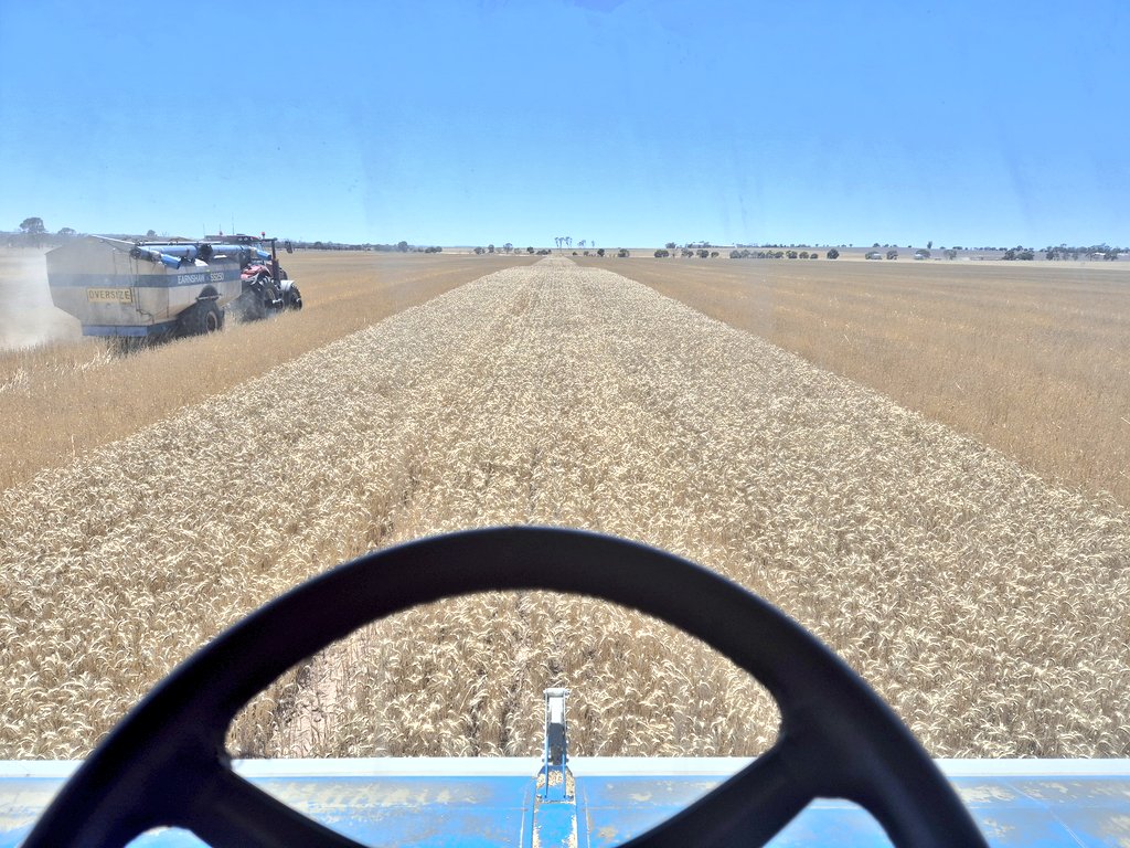 Ashley Jacobs tweet media