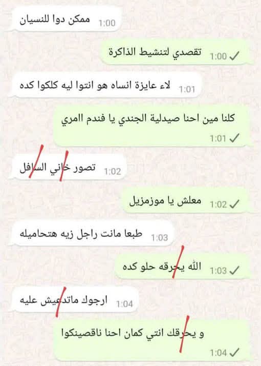 𓇋𓄦𓃭𓄿𓅓 islam🇪🇬🐳 (@mowafy44288676) on Twitter photo 