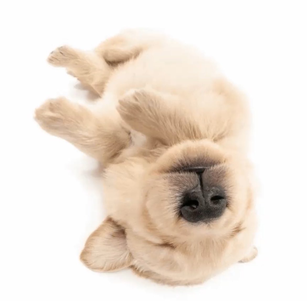 may 🐮 ia tweet media