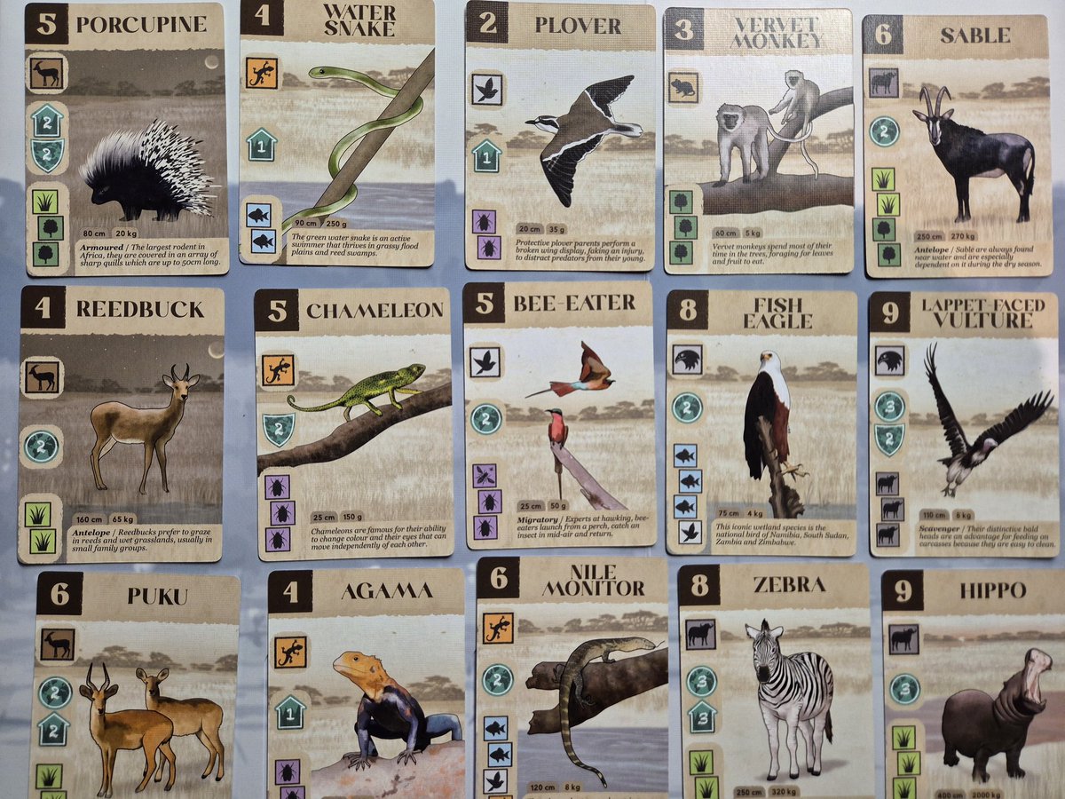 tlarraya's tweet image. Kavango published by Mazaza Games is not our jam. It's too long. The rules aren't clear enough. It's a solitaire multiplayer game so you don't really play with the other players. It just isn't fun for us. The only thing it has going for it is great artwork and animals as a theme.