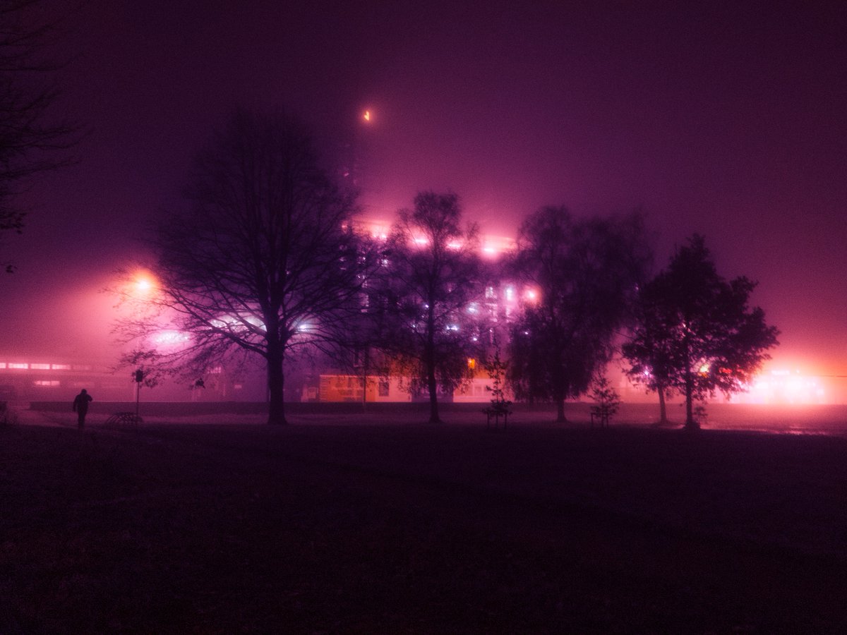 photos of fog