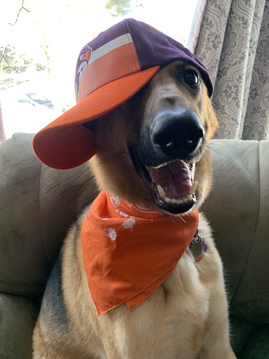 It’s Showtime in Halifax!  #GoBirdsGo #ThunderDog <a href="/HFXThunderbirds/">Halifax Thunderbirds</a> <a href="/NLL/">NLL</a>