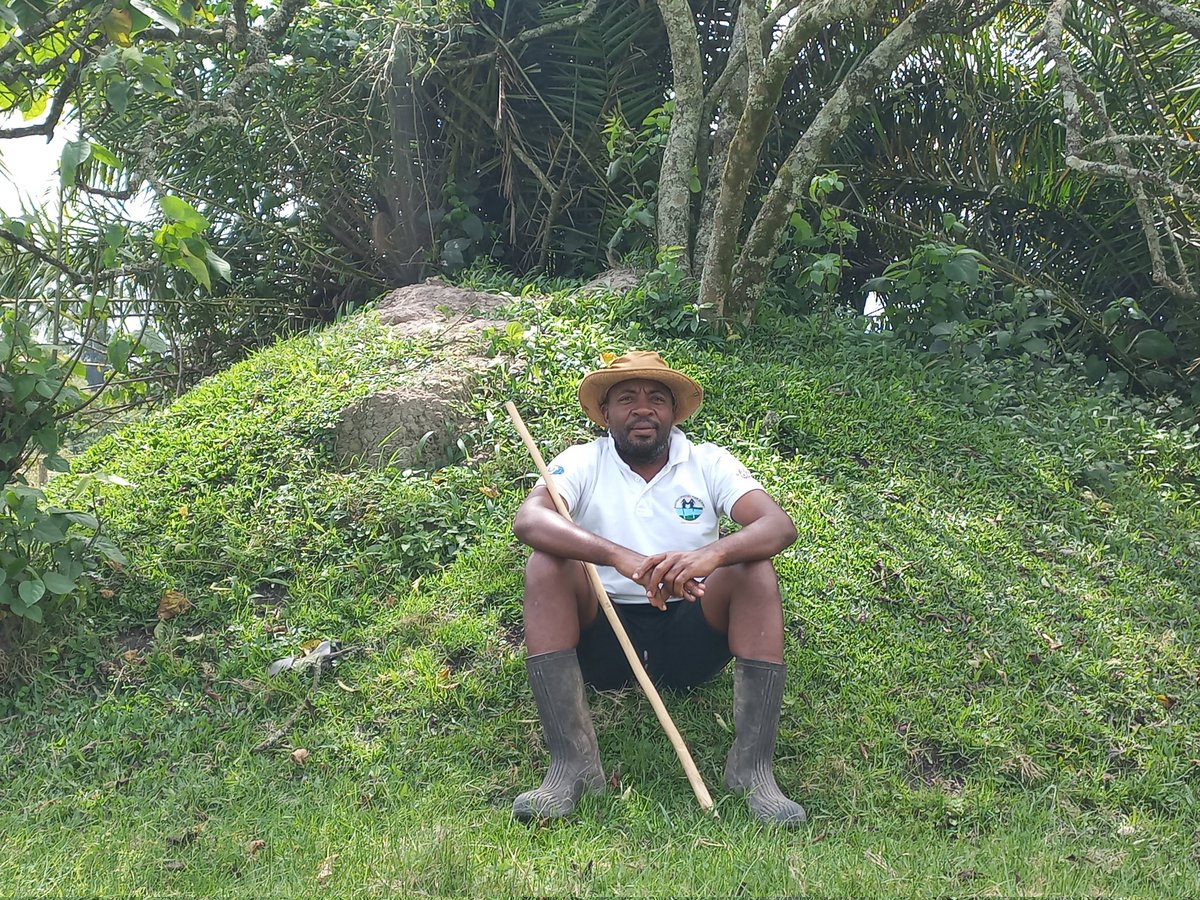 Sometimes, it's normal to be 'idle'!!