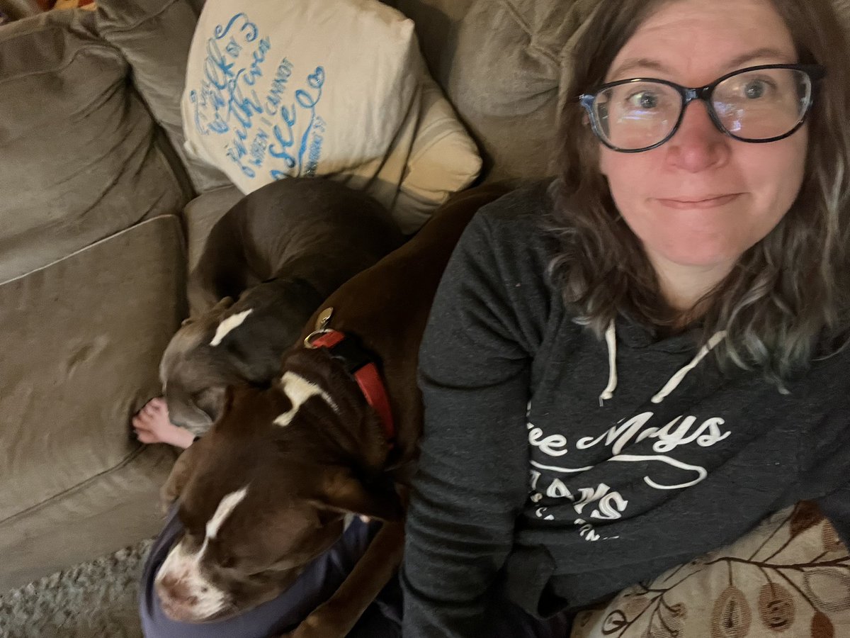 DaniVogel7's tweet photo. @PopTartsUS I’m trying to convert the dogs I’m sitting into Cyclones fans. (They cheer for Iowa.) Which Poptarts are pet friendly for incentive? https://t.co/9gNWcA05we