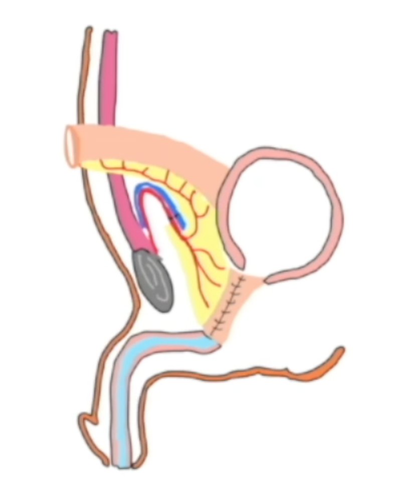 Lee Zhao tweet media