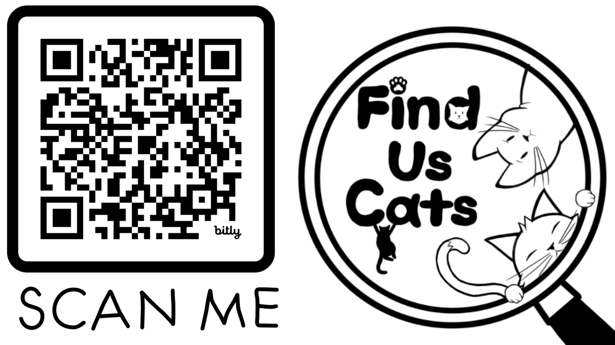 spireggs's tweet photo. #screenshotsaturday #indiedev #gamedev #hiddenobject #cats #FindUsCats https://t.co/yHaV6uTtwV