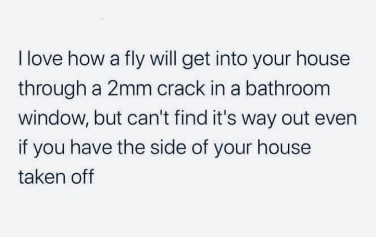 Books and Wine tweet media