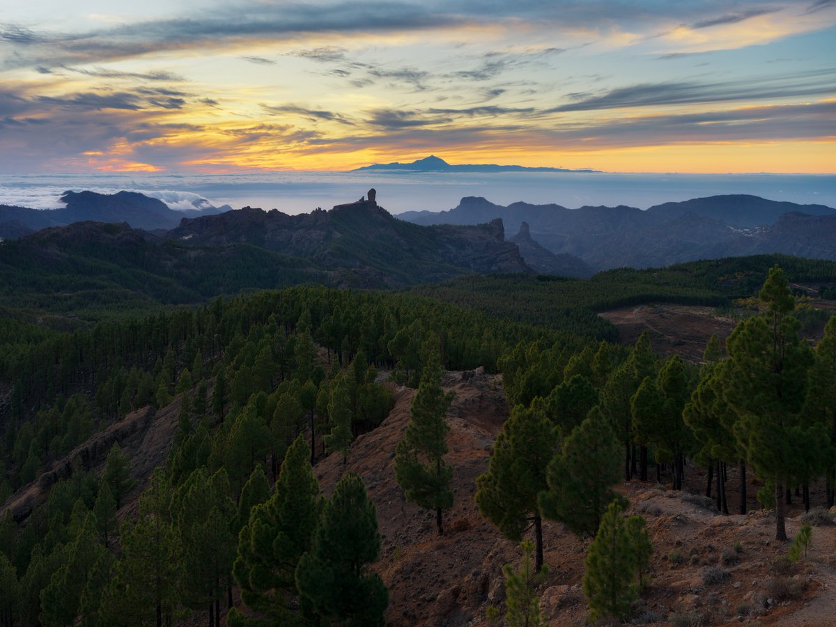 Las buenas costumbres nunca deberían perderse.
Como cada año, empezamos en contacto con la naturaleza.
Nos quedan por delante 365 días del 2025.
📸Fotografía de Pico de Las Nieves, Gran Canaria

#fotografía #naturaleza #naturaleza_canarias #grancanaria #fotografiapaisajes