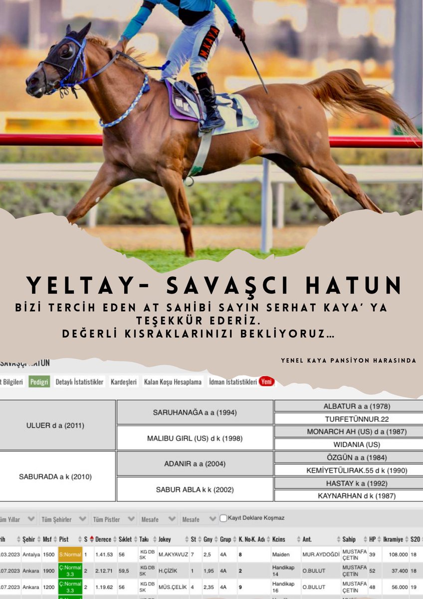 Şampiyon YELTAY’ı ziyaret edecek olan kısrak SAVAŞÇI HATUN hayırlı olsun. 

Bizi tercih ettiği için At sahibi sayın Serhat KAYA’ya teşekkür ederiz.
<a href="/serhat2689kaya/">SERHAT KAYA</a>