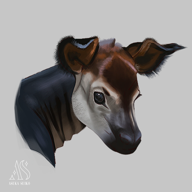 Asukasuiko's tweet image. Feeling a bit melancholic today, so I&apos;m just doing some studies to try to get over it. 

#studys #notmyday