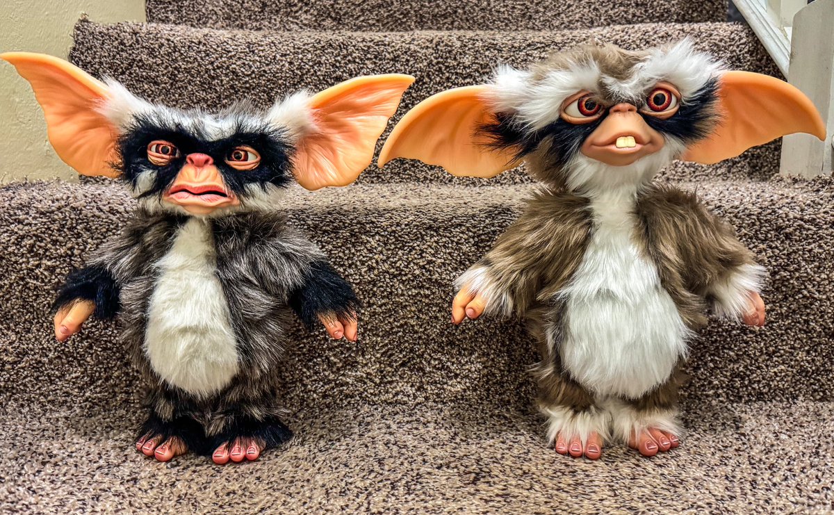 Eddie Cabrera (@dare2sleep) on Twitter photo A little childhood nostalgia from <a href="/TrickorTreat831/">TrickorTreat Studios</a> . Gremlins 2 The New Batch George and Lenny Deluxe Mogwai replica props. #gremlins #trickortreatstudios #gremlins2thenewbatch #movies #nostalgia #mogwai A little childhood nostalgia from <a href="/TrickorTreat831/">TrickorTreat Studios</a> . Gremlins 2 The New Batch George and Lenny Deluxe Mogwai replica props. #gremlins #trickortreatstudios #gremlins2thenewbatch #movies #nostalgia #mogwai
