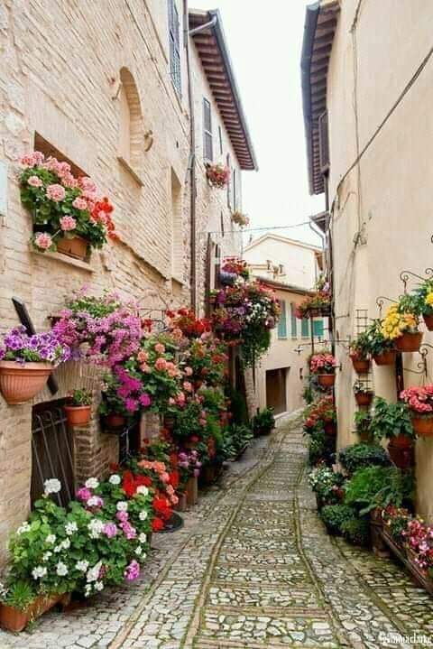 MARIAM8688's tweet photo. گھر میں گلدان سجاۓ ہیں تیری آمد پر

اک پھول________ بہانے سے الگ رکھا ہے🌹🌹 https://t.co/SGN2YmwhRZ