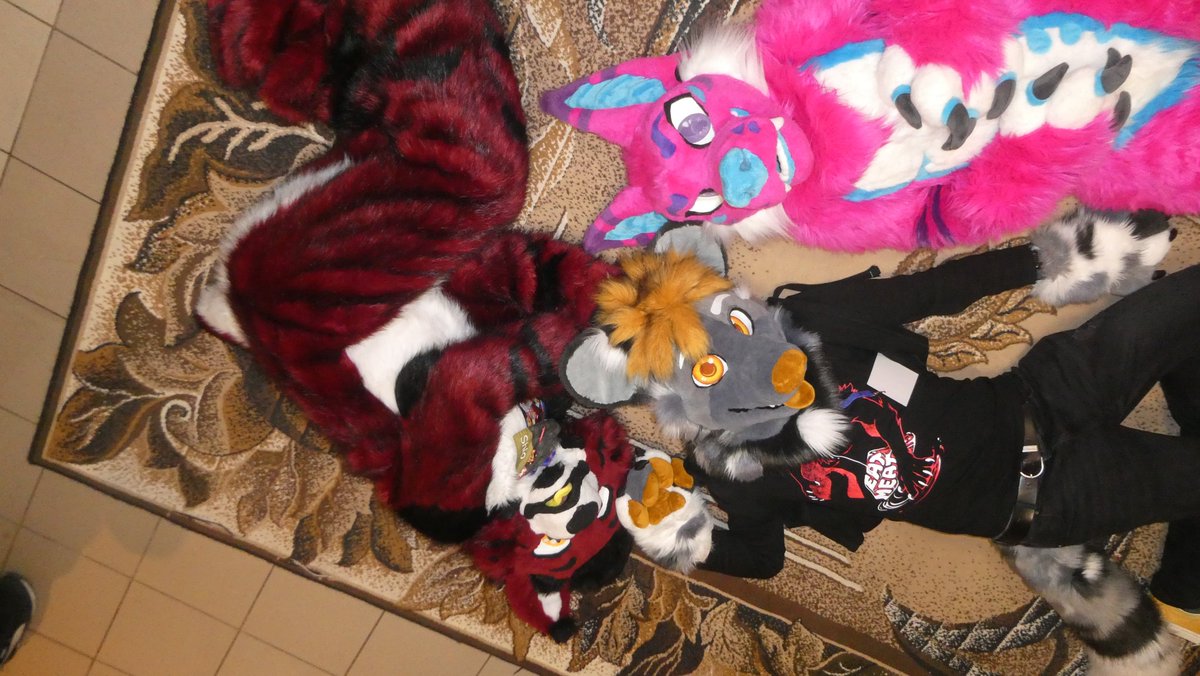 🔴 Shio Red Lynx ⚫ tweet media