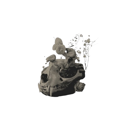 SEVENDEVLS's tweet photo. ݁⠀   𓆦   * some†𝑖mes   ˒  𝗗͟ᎬᎪᎠ  is   𝓫𝙚͟𝙩͟𝙩͟𝙚͟𝙧.   ⚰︎ https://t.co/3cqWk8QQhm