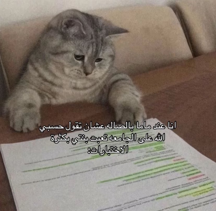 ِ (@euecz) on Twitter photo 