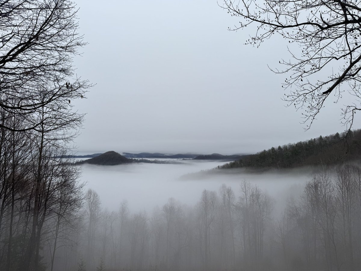 greysfilled's tweet photo. Winter’s beauty https://t.co/AlnswchyRr