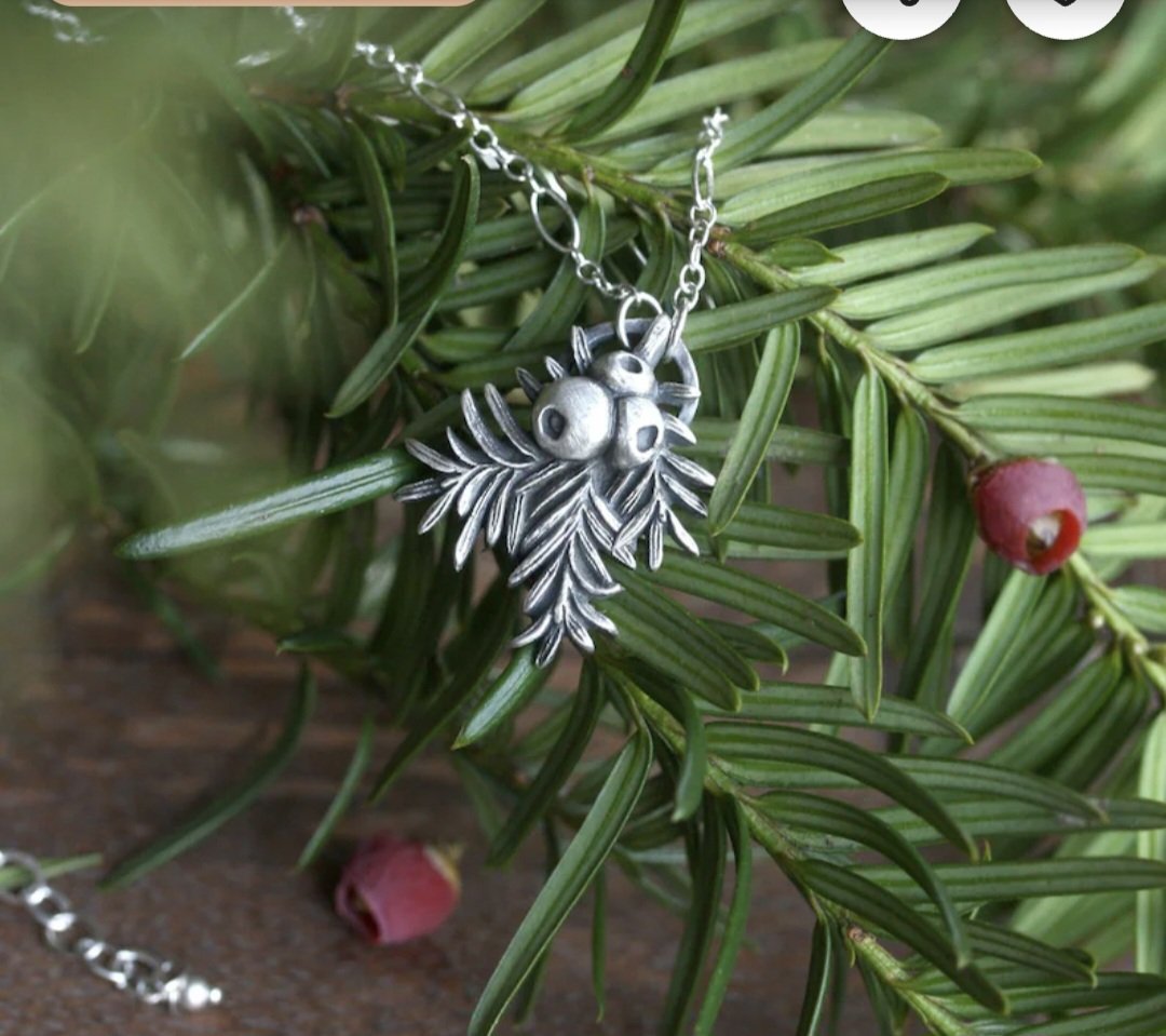 Uno de los árboles de aura más poderosa, absorbente, pesada, palpable como un agujero negro.Dos gramos de hojas por kilo de peso bastan para «despachar» a un caballo #tejo