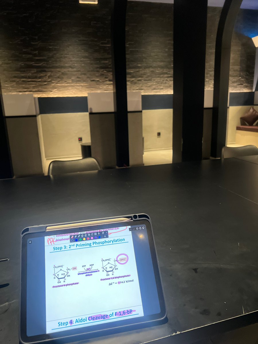 كيَان 🇸🇦. tweet media