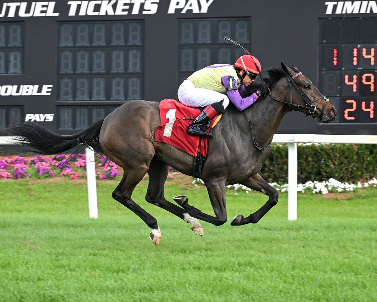 Spool reeled ‘em in to win a MSW convincingly <a href="/TampaBayDownsFL/">Tampa Bay Downs Official Account</a> in career start #2 under a deft <a href="/Pablojockey88/">Pablo Morales</a> ride sporting partner Mike House’s famous happy face silks. The daughter of Hard Spun <a href="/DarleyAmerica/">Darley in America</a> is well conditioned by <a href="/GrahamMotion/">GrahamMotion</a>.  #EclipseFillies #BelieveBig