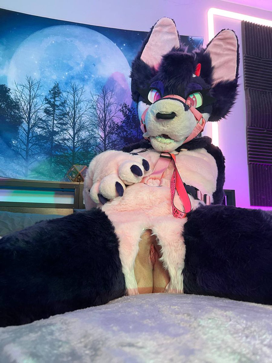 I’ve got a hole you can bury your bone in~ 🖤