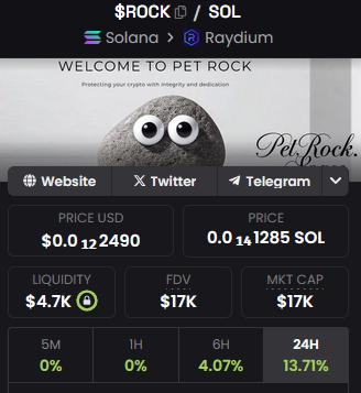 Pet Rock 🏆 tweet media