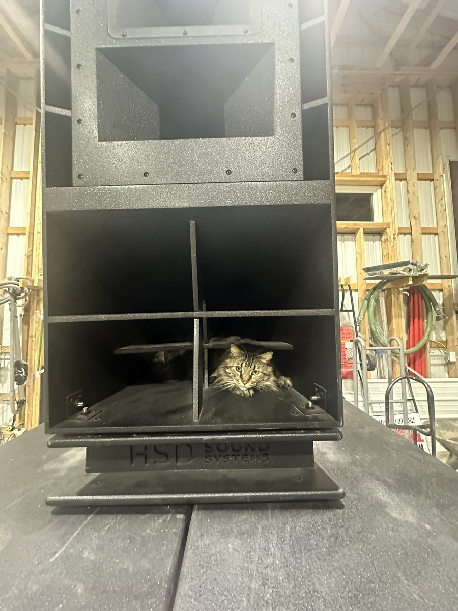 RAsoundHSD's tweet photo. Sound Bois #soundsystem #cats #HSD https://t.co/riiMJuySCQ