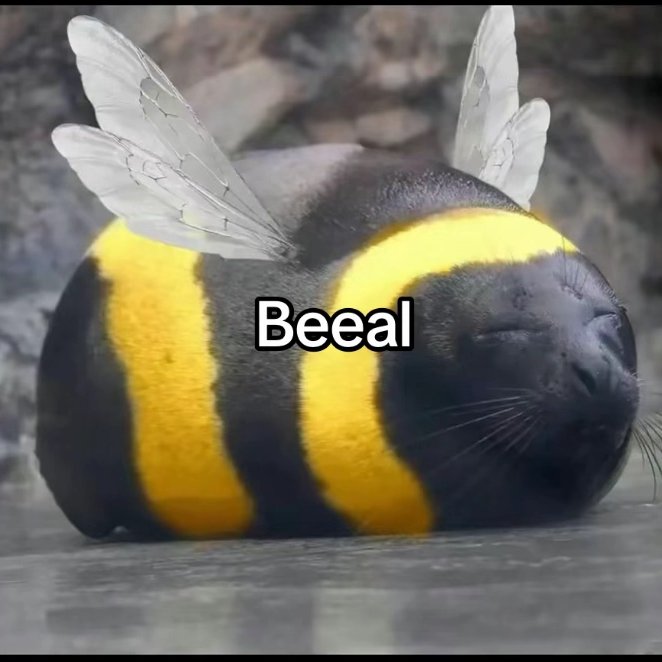 is this even allowed