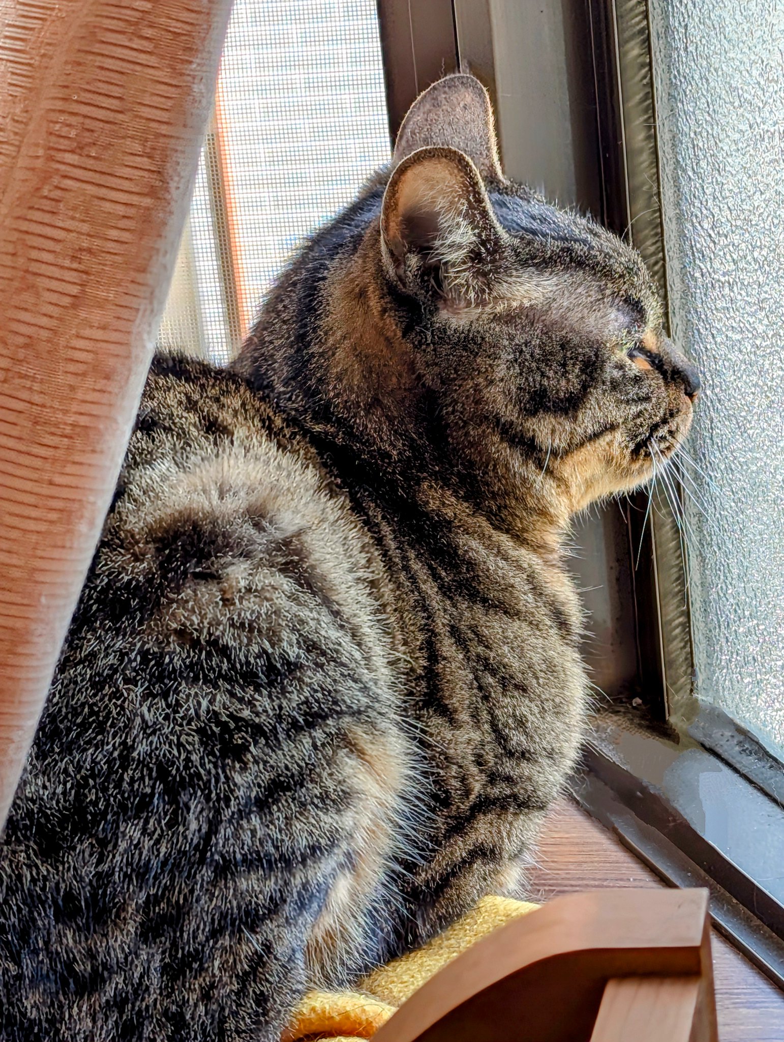 まや子様ポスト対応