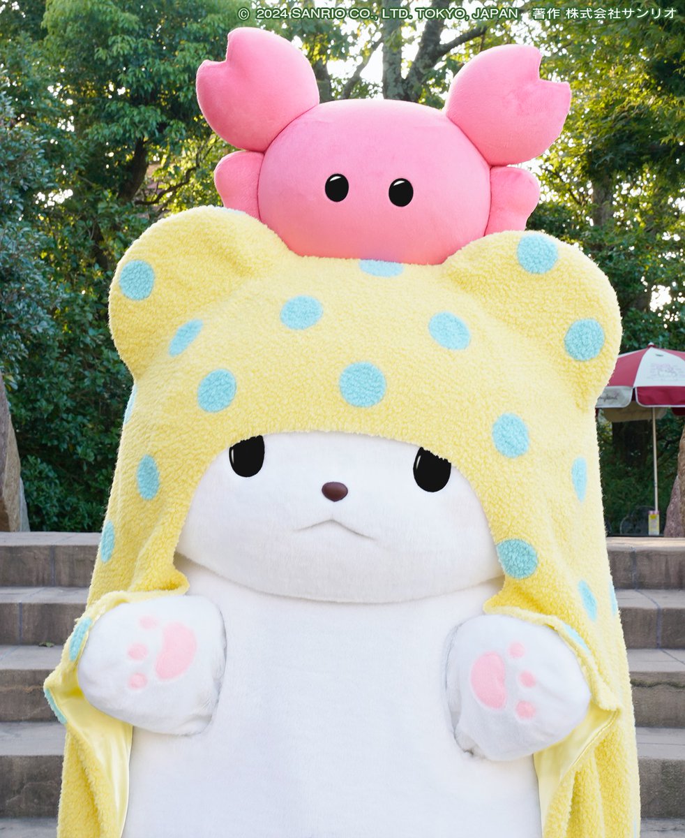 🎶 キャラクターハググリーティング 🎶 お気に入りのブランケットに