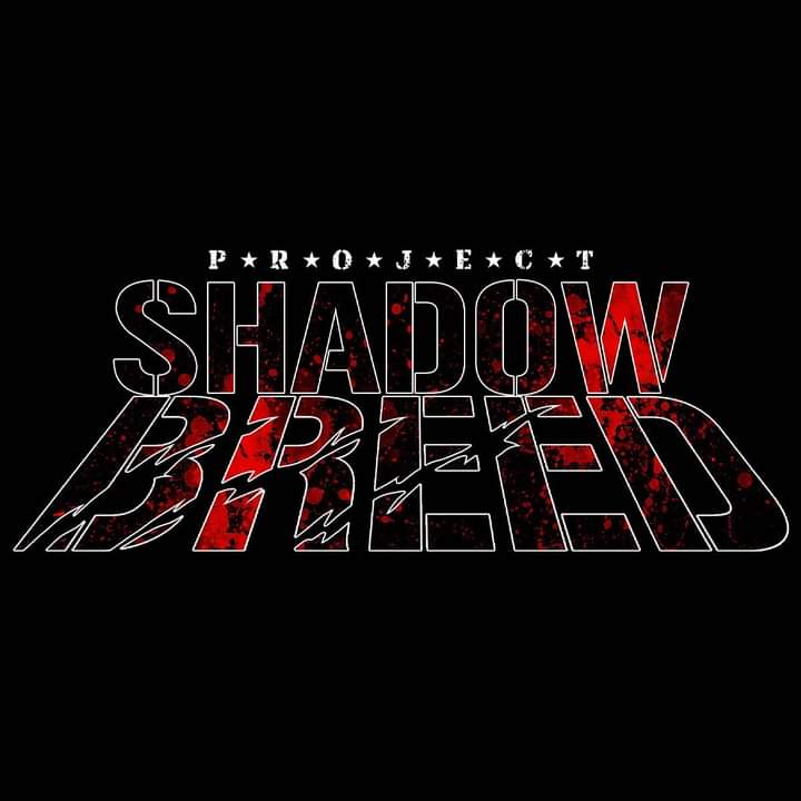 Project Shadow Breed will be back in 2025 fully rebooted and ready to rock n roll with a brand new issue #1 to launch the series off! Follow <a href="/ProjectShadowBr/">ProjectShadowBreed</a> &amp; <a href="/amazingactionc/">Amazing Action Comics</a> for more info on release date #indie #comics #indiecomics #readsomethingamazing #amazingactioncomics