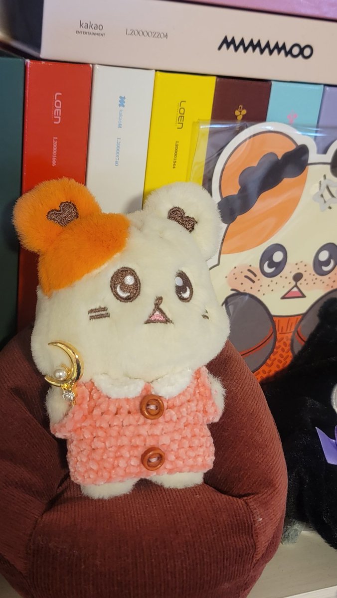 MM45488726's tweet photo. 初めてピッタリサイズのお洋服に出会った気がします。もっと買ってくればよかったな〜〜。

パジャマハムビョリちゃん、窓の側で寒くないかな？と思ったり😂可愛い子たちですね💞

#MOONBYUL
#ムンビョル
#ぬい活 https://t.co/tbsap3ZfXR