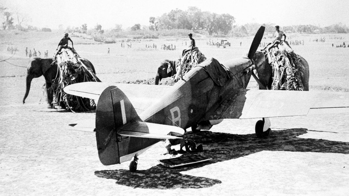 MASSExpedition's tweet image. TIMEWAR is real and you are a combatant. You were declared a soldier long after your death, drafted to enter the arena before your birth.

You contend with forces beyond comprehension; the greatest possible mistake is to plug your ears and hide in a foxhole.