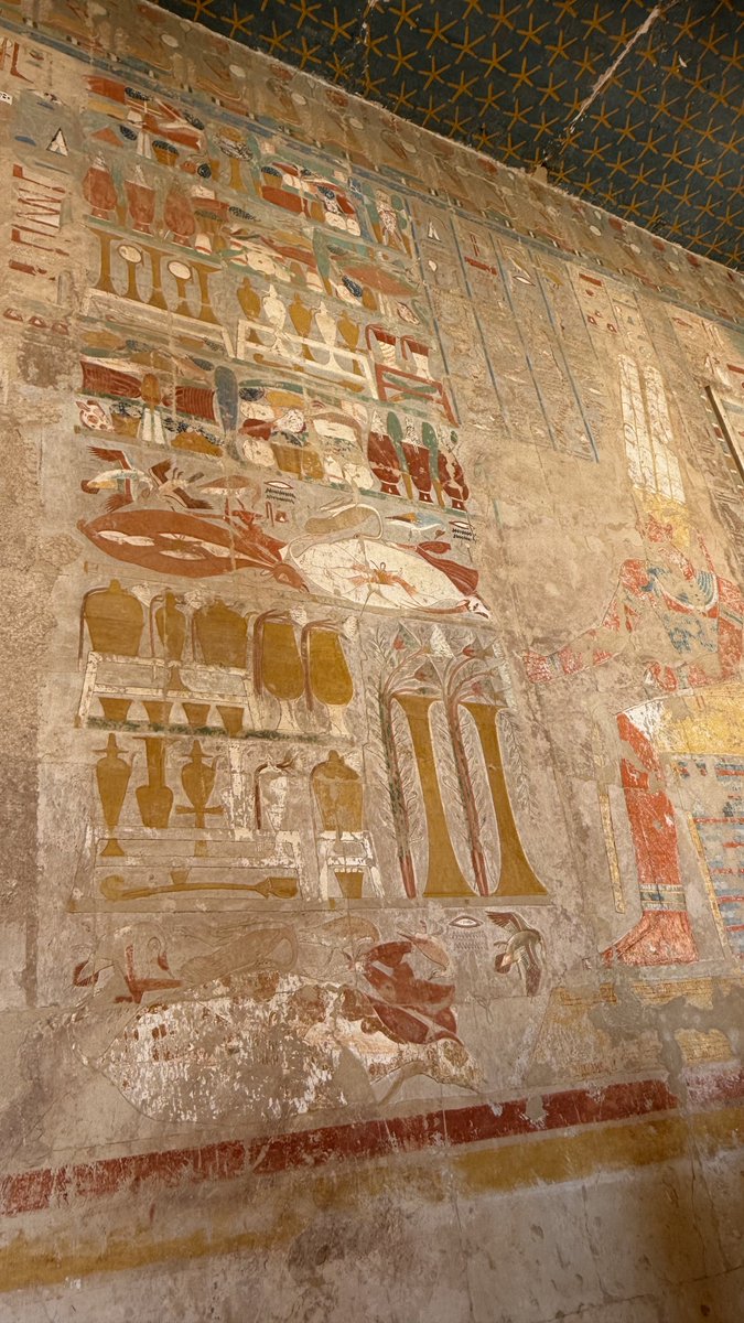 iam_remmm's tweet photo. 葬祭殿の入り口には貿易の証、約3500年前にプントという国から持ち帰った木が根っことして現在もあります🌴

ハトシェプスト女王が重きを置いたのは平和外交。アフリカなど近隣国との交易の様子などが葬祭殿にたくさん描かれています。
貢ぎ物も多く繁栄してたんですね〜🕊️ https://t.co/y100I9juYz