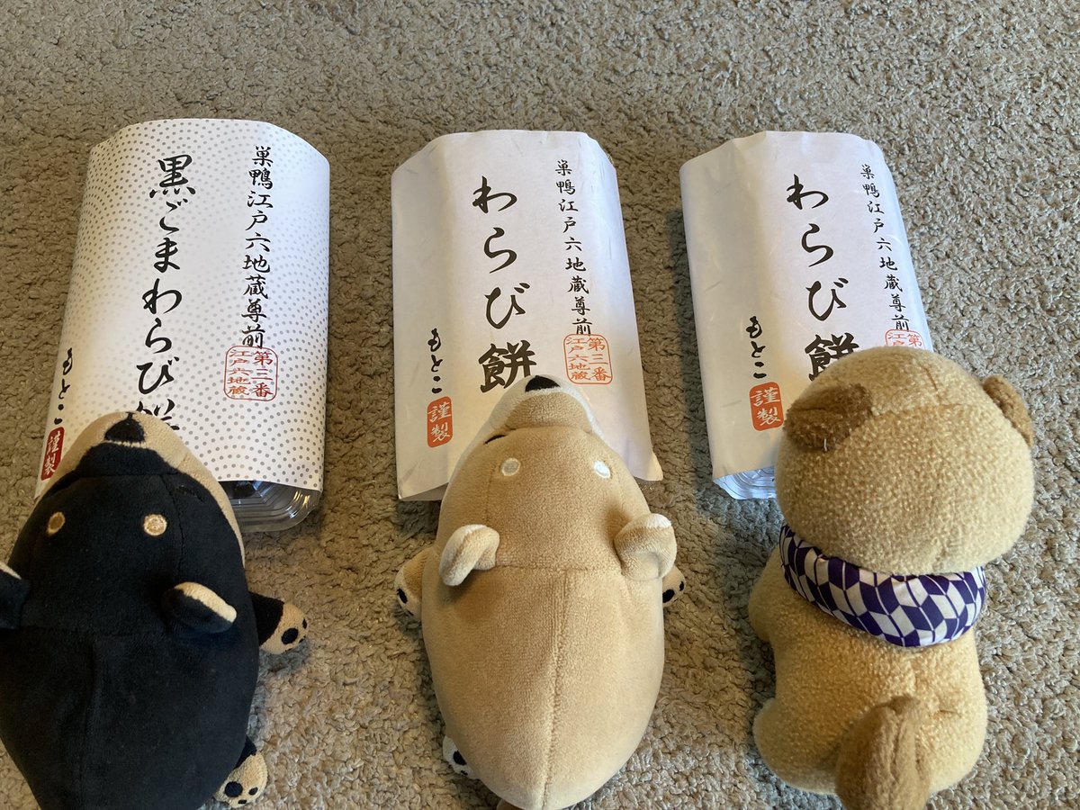 今日は巣鴨までわらび餅を買いに行ってきたぜ！
軽く走って15km程度
#リブハート
#りぶはあと
#ねむねむアニマルズ 
#ぬい活
#ぬいぐるみじゃありません家族です
#ぬい撮り