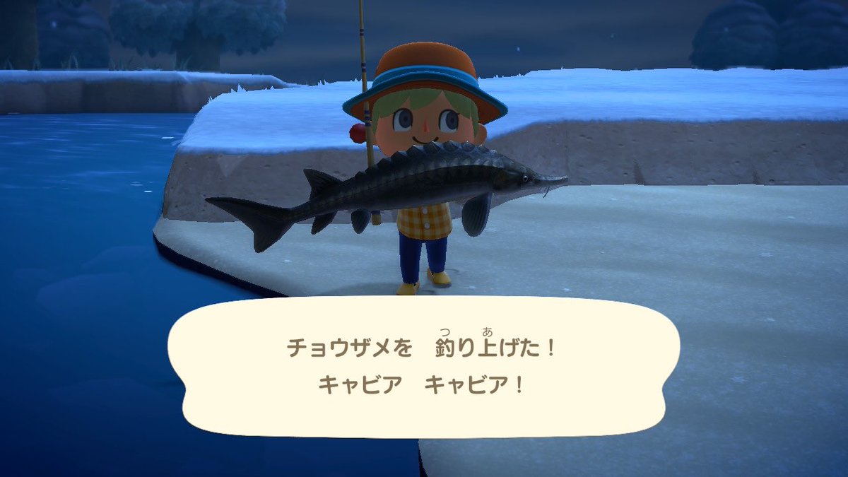tyoko0705's tweet photo. 2024.12.16
とび森と比べて、魚や虫もリアルになってる…
川にでっかいのおる！！イトウ！？
と思ったら初対面のチョウザメさん https://t.co/Q3urp6526S